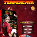 Various Type of Online Casinos